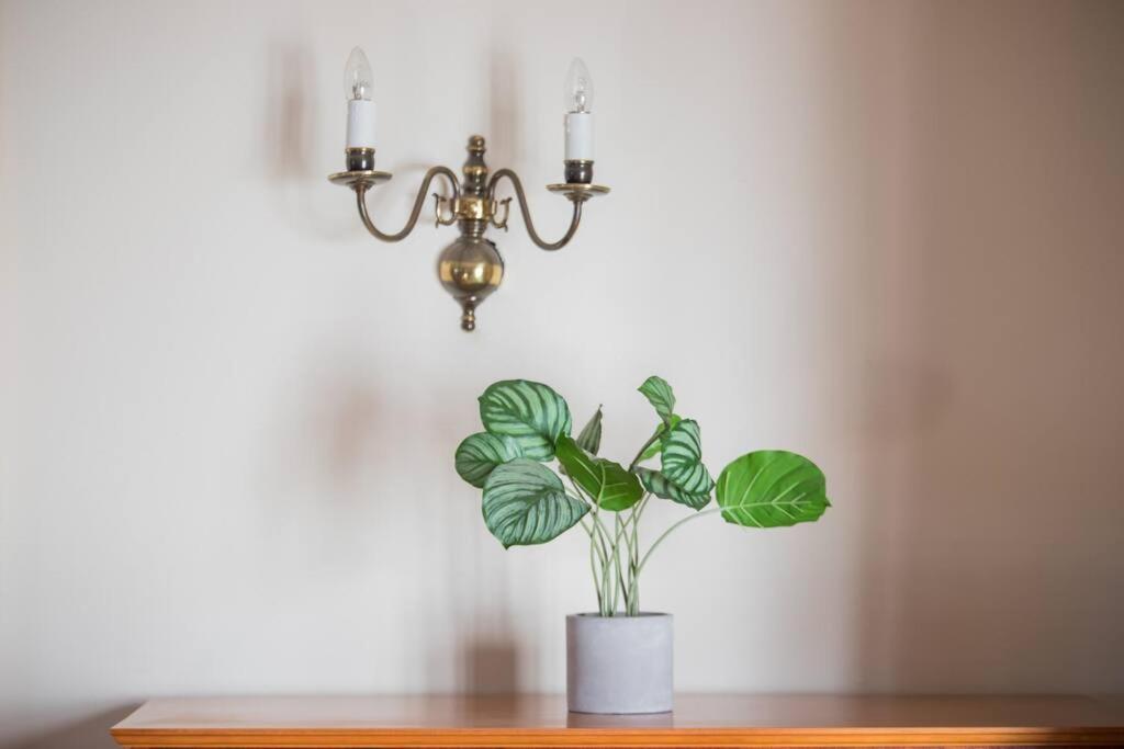 Escape To Paradise In Plett - Back Up Electricity Plettenberg Bay